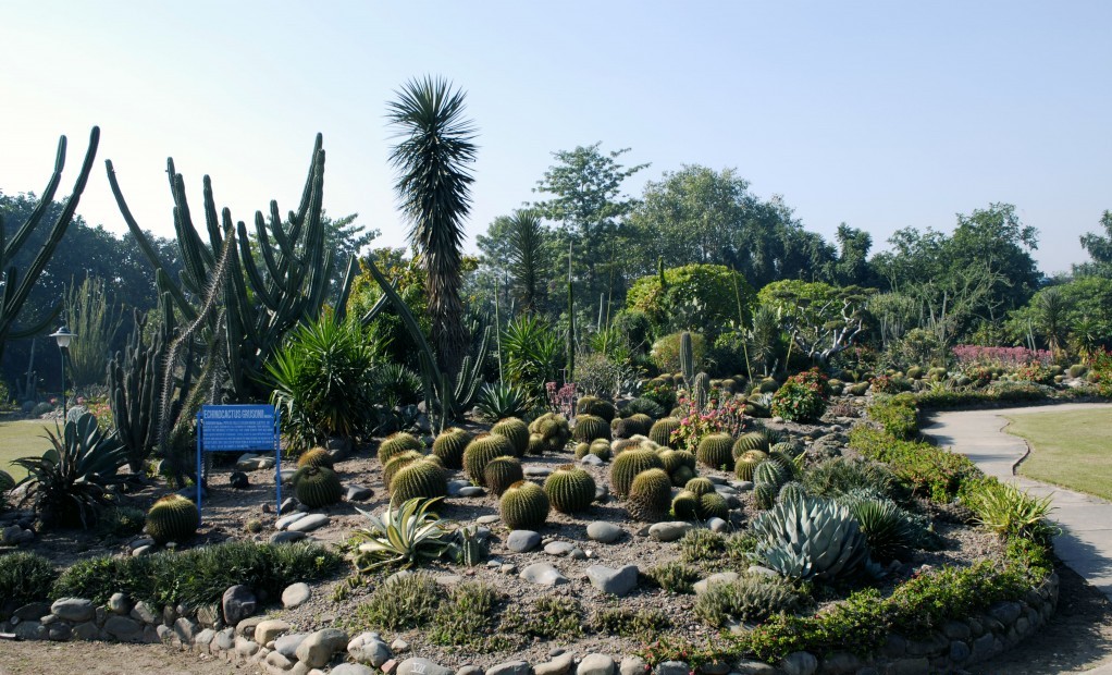 rock-garden Top 10 Places For Tourist Attractions in Chandigarh