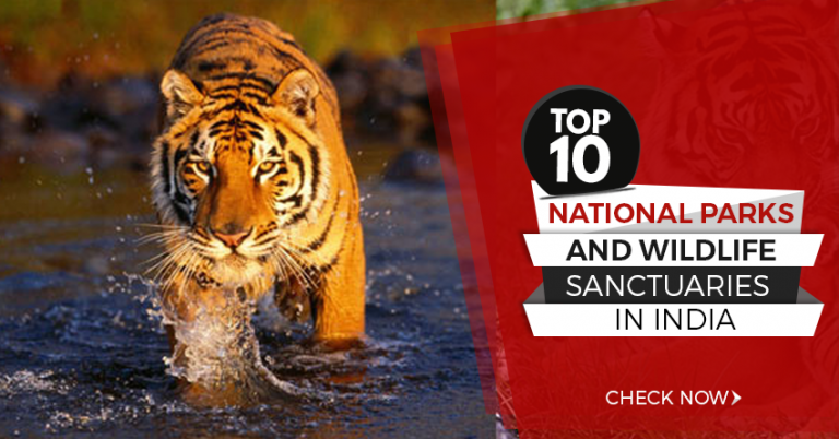 National Parks And Wildlife Sanctuaries In India