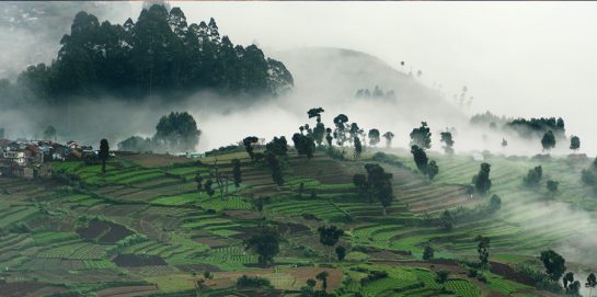 Kodaikanal famous tourist places in india