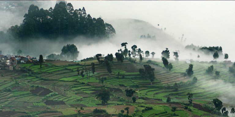 Kodaikanal famous tourist places in india