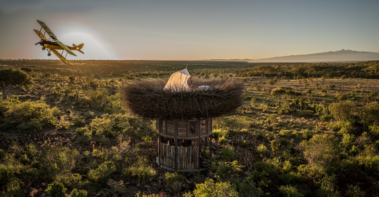 Kenya-and-Tanzania-Wildlife-Safari 10 Things To Do At The Bird Nest Villa