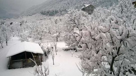 Snowfall in manali