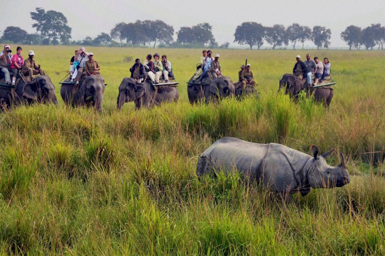 Kaziranga National Park, Assam - best adventurous places to visit in india