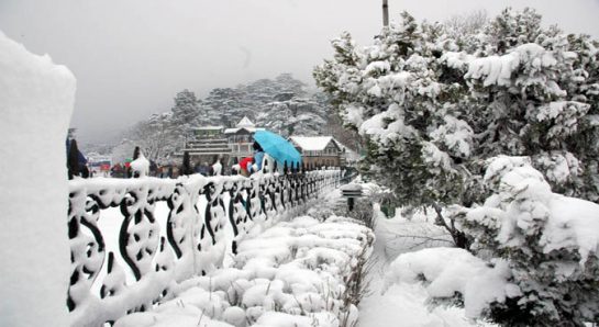 Kufri - Things to Do in Shimla Manali