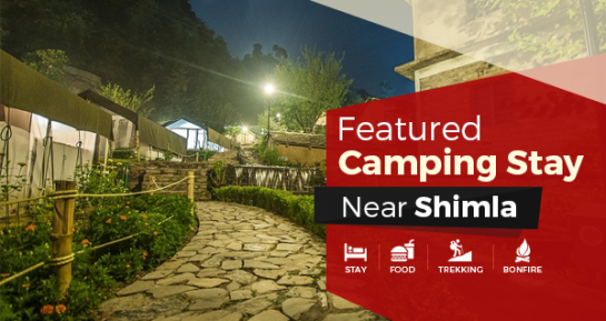 Featured Camping Stay Near Shimla