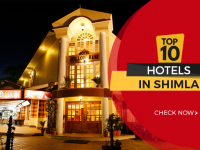 best hotels in shimla